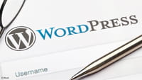 Zero-Day-Lücke in WP-Plug-in entdeckt
