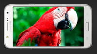 Samsung Galaxy J5 explodiert